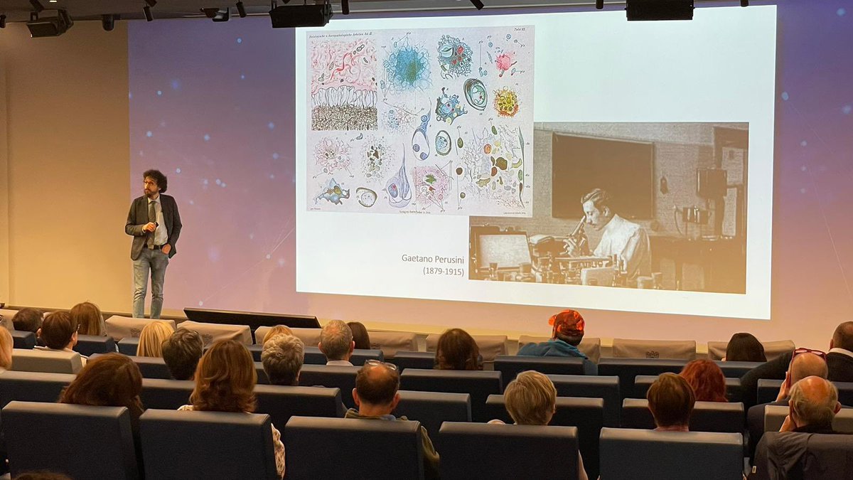 Andrea Arighi tweet media