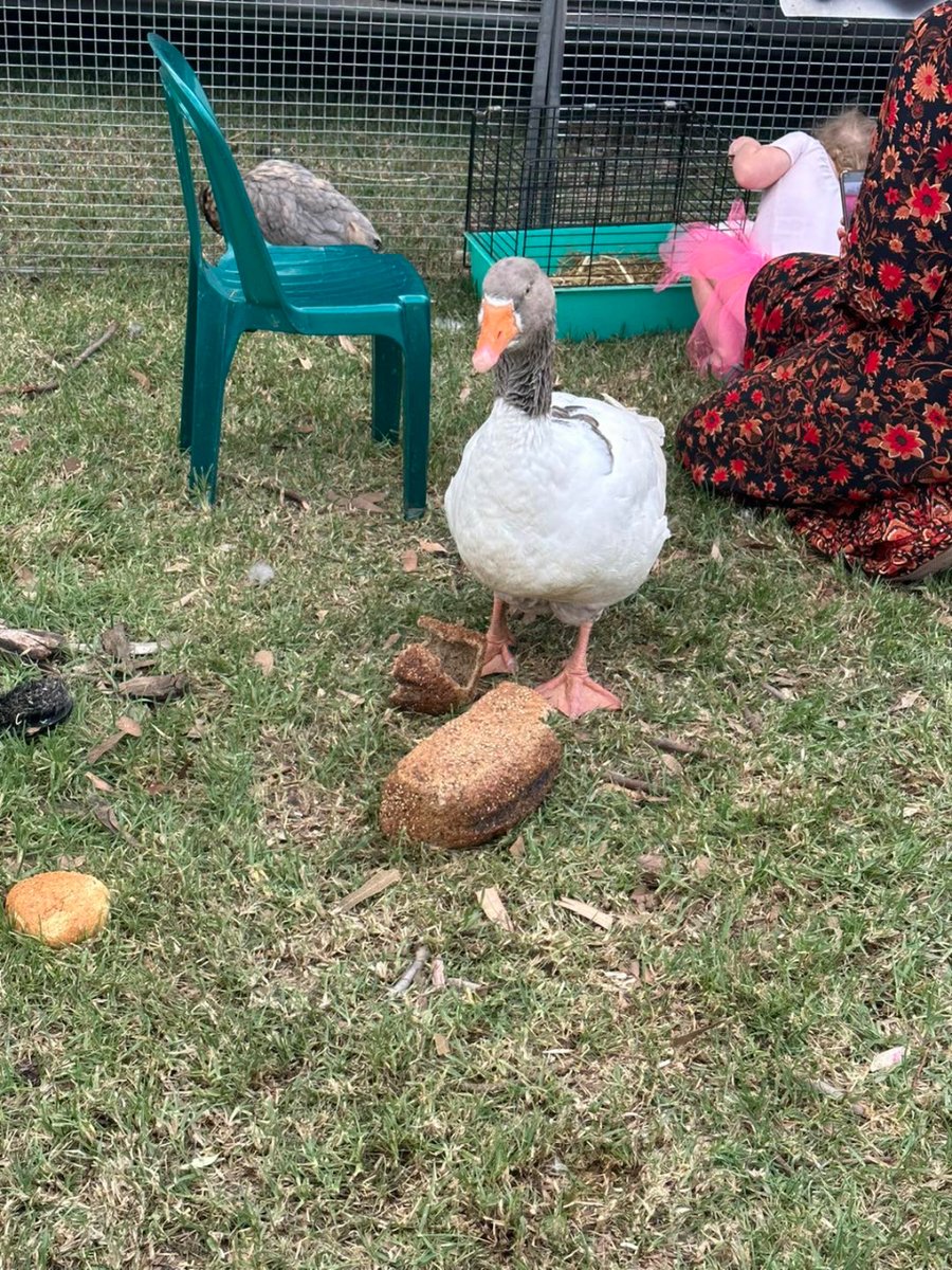 Waterways Residents Assoc. tweet media