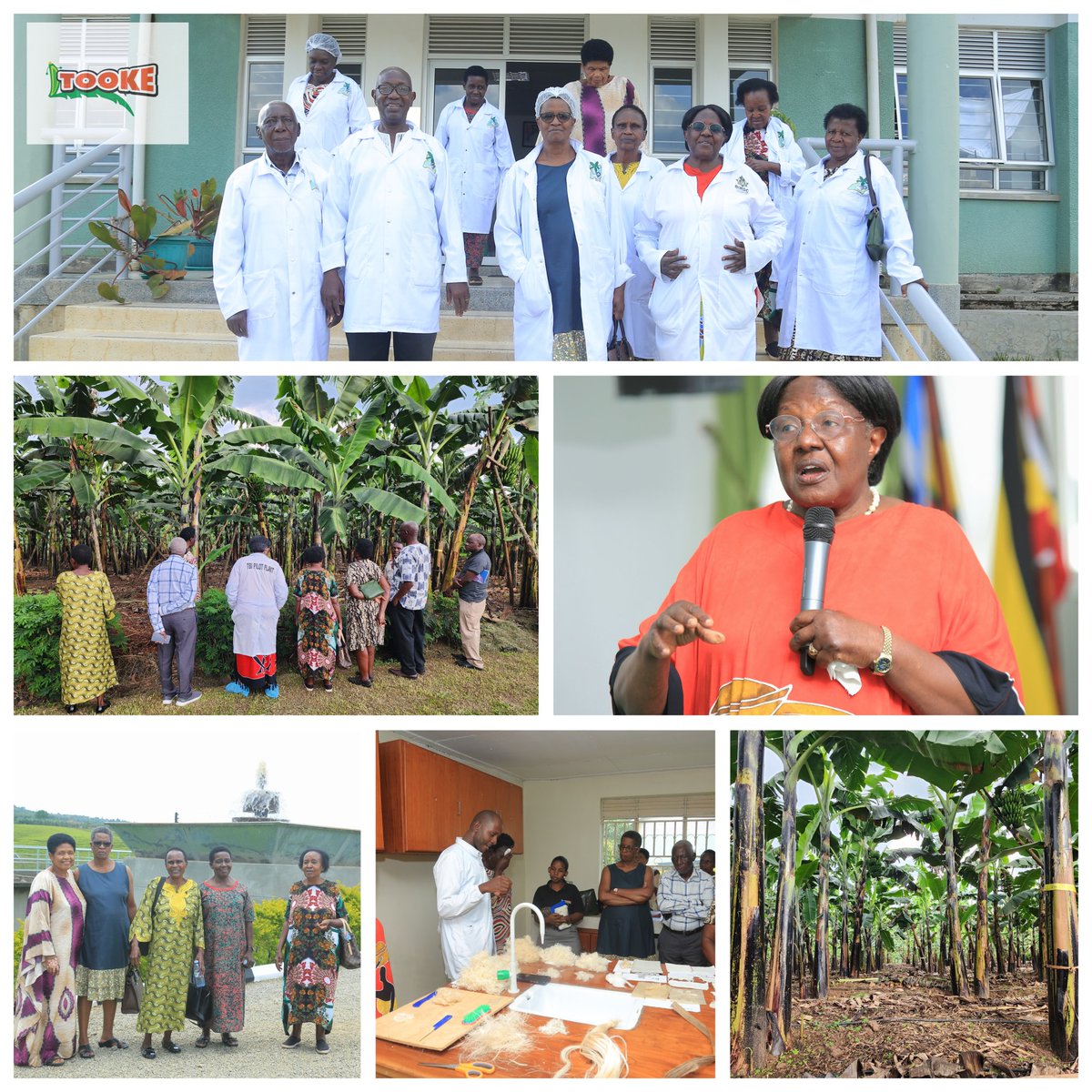 Visitation of stakeholder community of Old Girls & Christian friends of Director General from  Kampala at the TBI.

#StakeholderEngagement
#GreenBananaValueAddition
#CommunityEngagement 
#Tooke
#GreenBananaFlour
#BIRDC