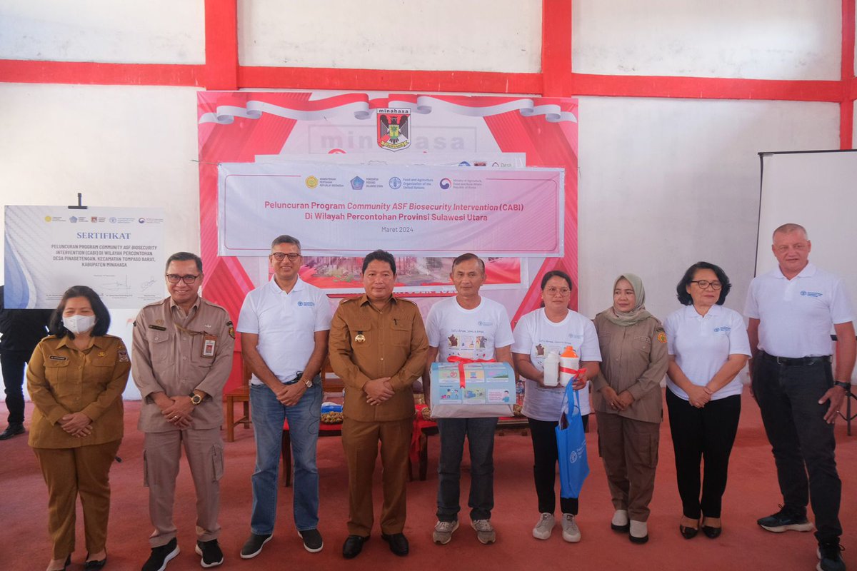 Greetings from #NorthSulawesi 👋🏼 @ditjen_pkh @fao & @sulutprovgoid launch CABI programme, a biosecurity intervention for smallholder 🐷 farmers in 3 districts CABI offers risk mitigation to minimise the impacts of #ASF 🐷🦠 on rural livelihoods @mafrakorea @FAOAsiaPacific