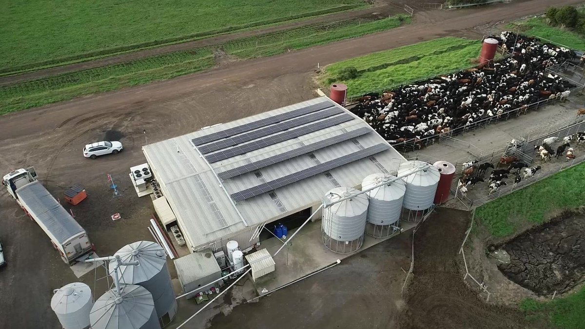 Milk cooling and water heating made up approximately two thirds of energy usage at Doolan farms in southwest Victoria. 
Hear how the farm has invested in a glycol water chiller and CO2 heat pump enabling the energy used for these operations to halve.
buff.ly/43gbyEr