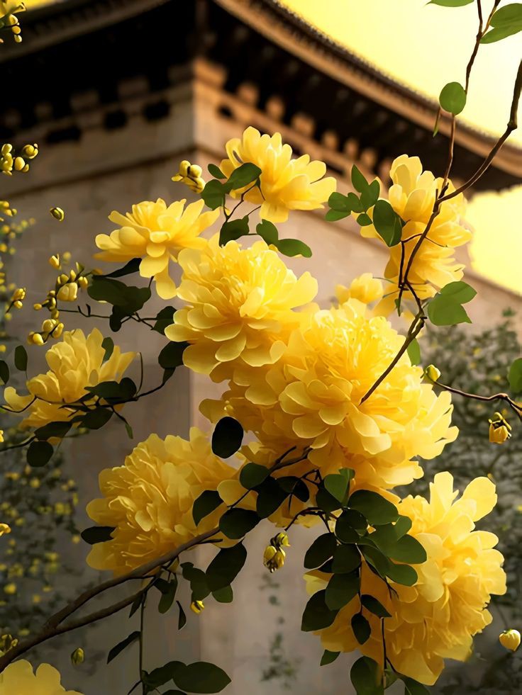 Morning Followers 🌿🌼