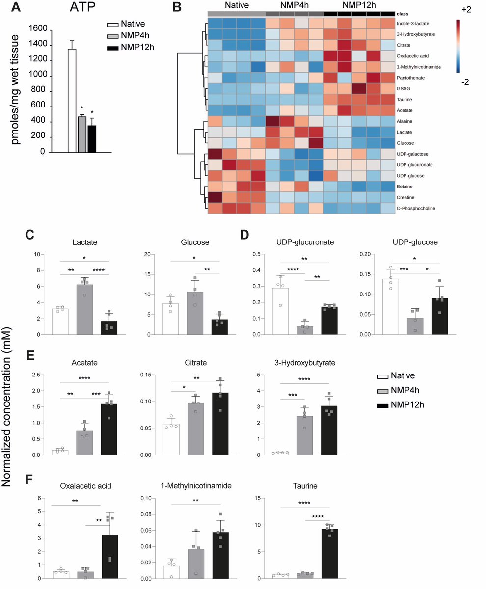 1/3🗣️🧠 Do we need to better understand prolonged liver NMP? 🥇Our first in literature 12h preclinical NMP model shows the ability to solve IRI, but…a huge debt must be paid! …/ nature.com/articles/s4159… ￼(a great collaboration between @policlinicoMI @WSIC_Tuebingen)