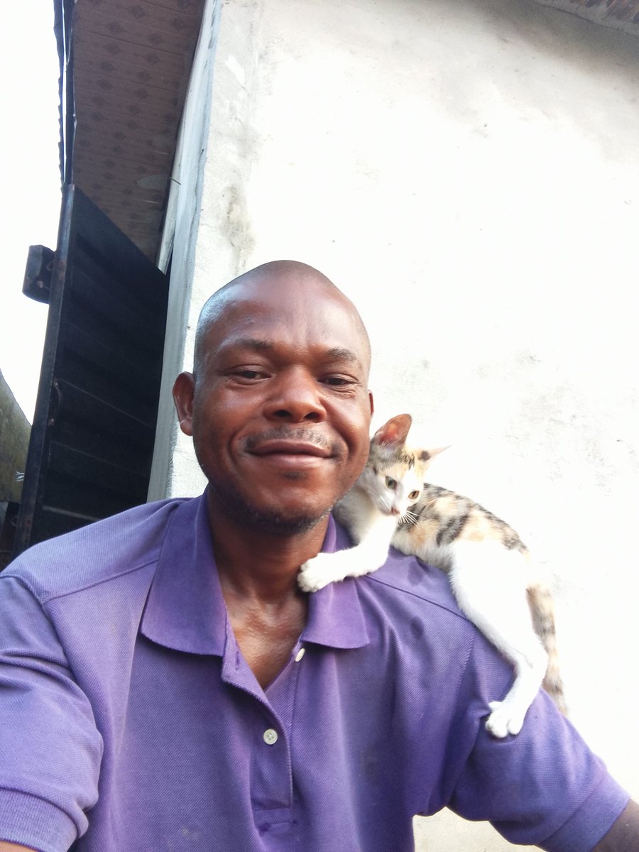 AdolphusGodgift's tweet image. Cats are not harmful, stop killing them anywhere you see them... You can use cat as your pet...

#AllLivesMatters