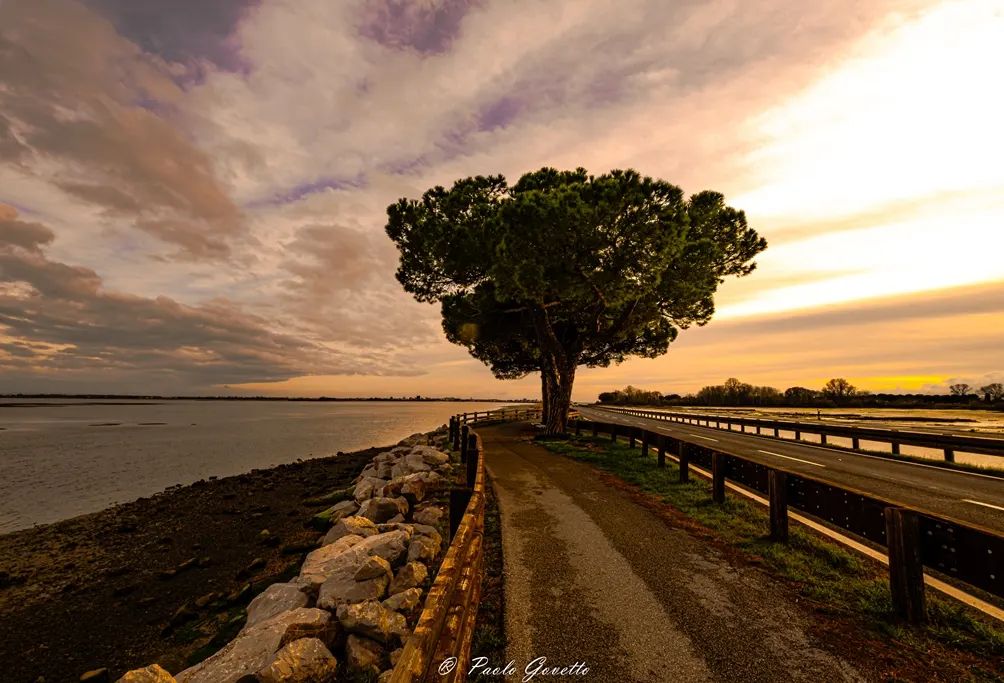 📍 Ciclabile Grado Belvedere
📷 IG di govettopaolo

#iosonofvg #visitfvg