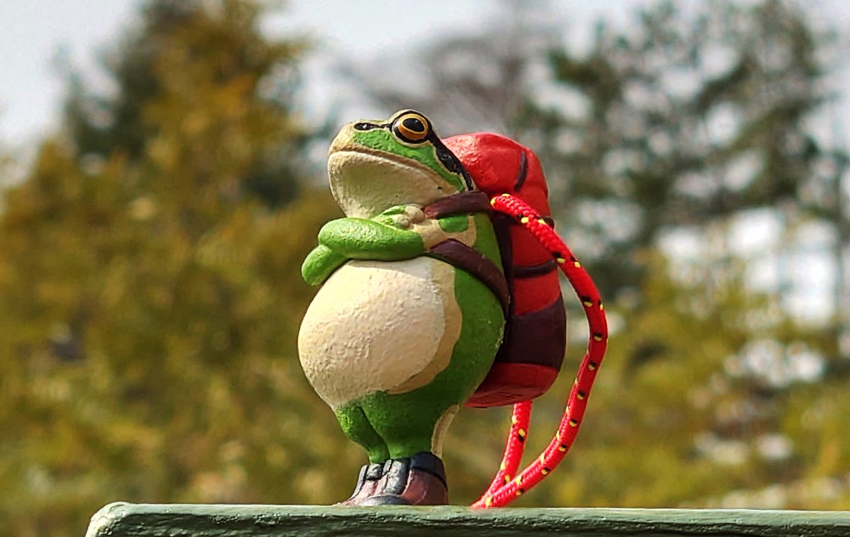 ストラップB-⑥【シアワセはこぶカエルくん♬】 ストラップB-⑥【シアワセはこぶカエルくん♬】