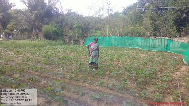 Horticulture  Department- Bhendi Demo- Vasantha farmer- Vadanbhai village-Vedharanyam Block-Nagapattinam District- Cauvery Delta sub basin.
Dr.C.Vidhyasagar
MDPU