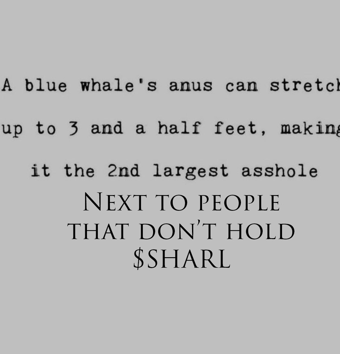 JS_0021's tweet image. Funfact: 

Did you know 👀

$SHARL @IOHK_Sharl