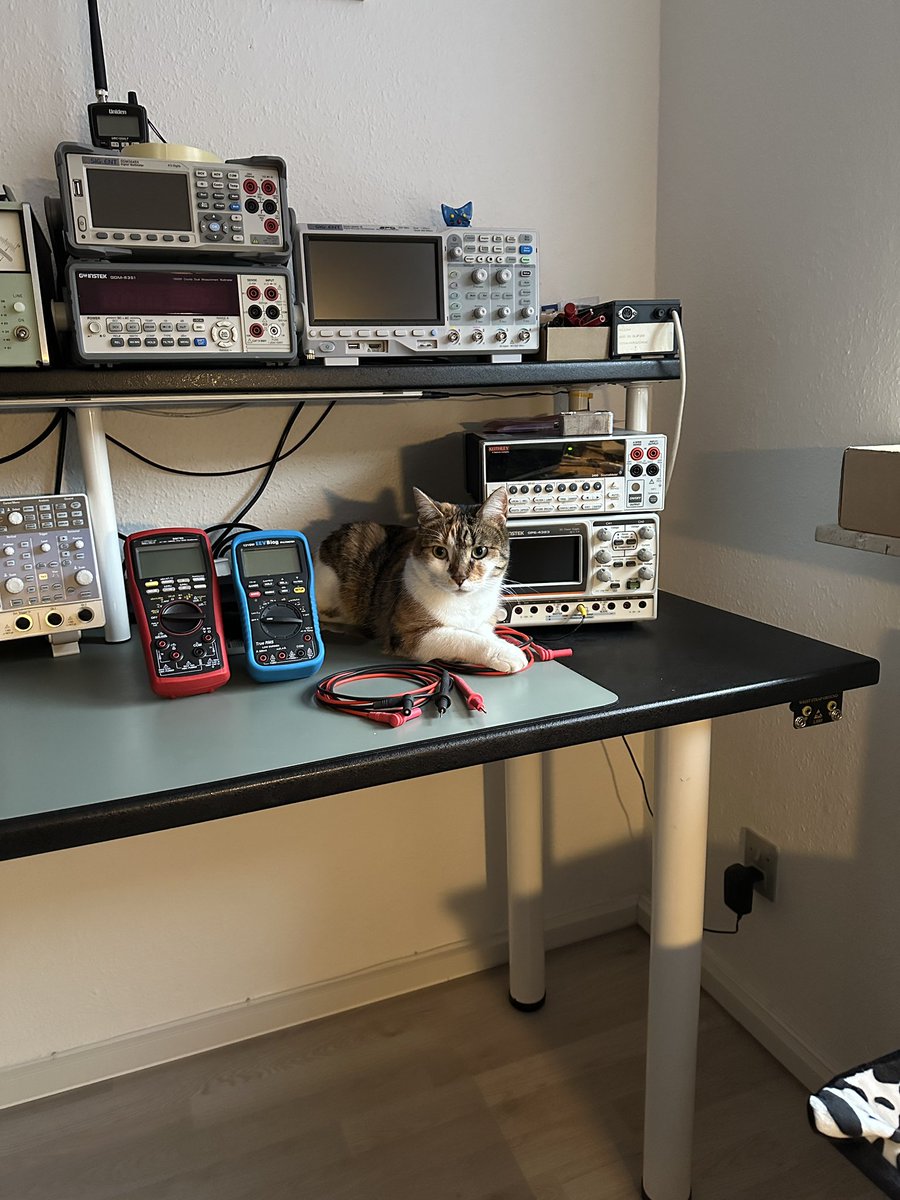 oz1lqo's tweet image. Good morning ☕️☺️🐱 #labcat #qualityinspection #rfengineer