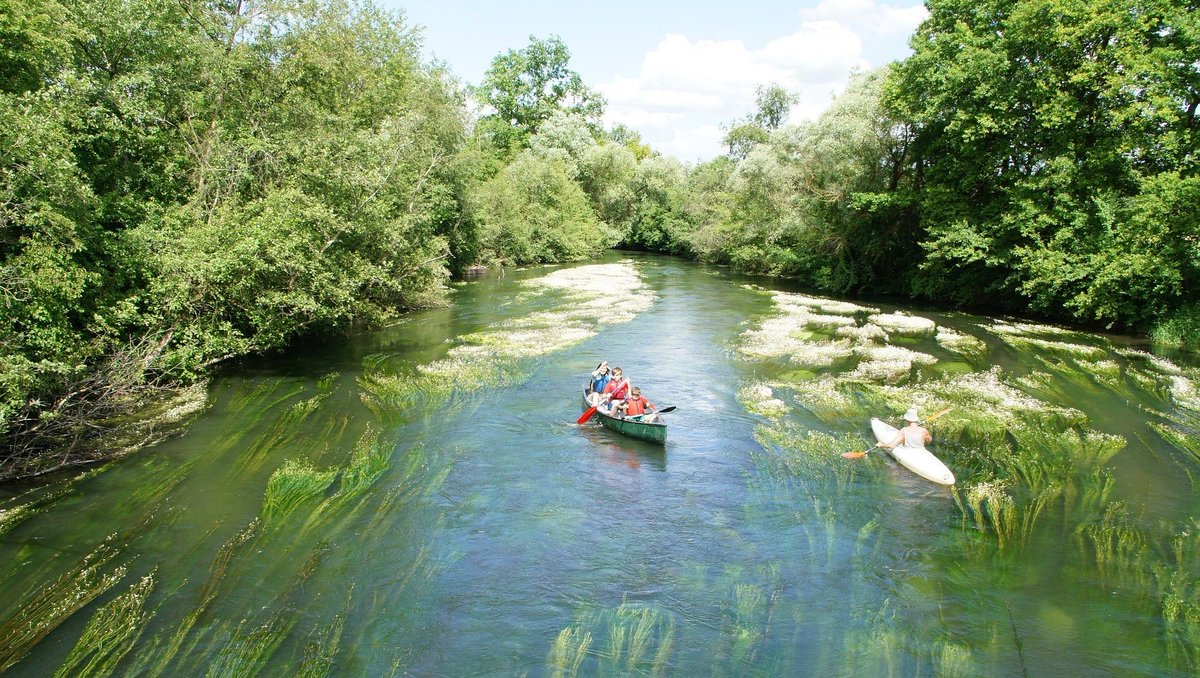 Canoeing + Peace River = Serenity 🛶#PeaceRiver #BestsideOutside #LoveFL 📸: @PeaceRiverChartersLLC