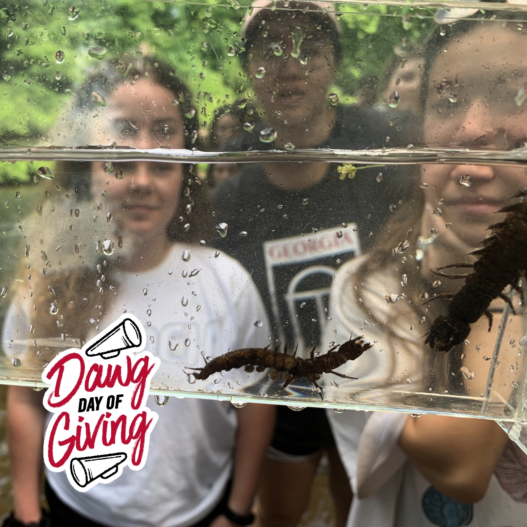 🌊 March 26th is #DawgDay of Giving! Join us as we dive deep into supporting ecology student experiential learning! 💧Let's make a splash with 100 gifts, ensuring our students can flutter through their studies with ease. 🌱 t.uga.edu/9M8