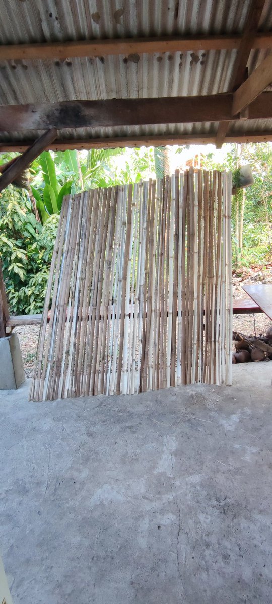 I've also had a bit of time to do some things with the offcuts from the alien tree and the bamboo I cut a while ago. A small table and some blinds have been on my to do list since forever. Here's the top reflecting dawn rays through trees. Still figuring out how to do blinds.