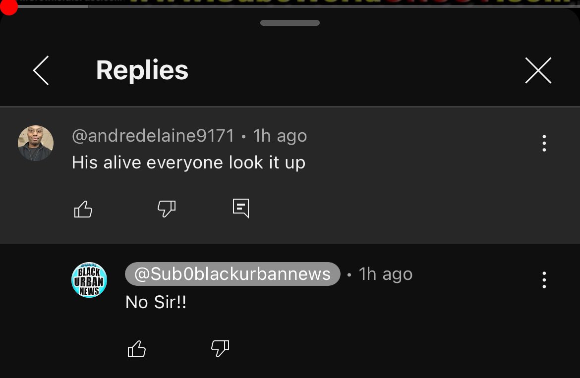 WaveNDave tweet media