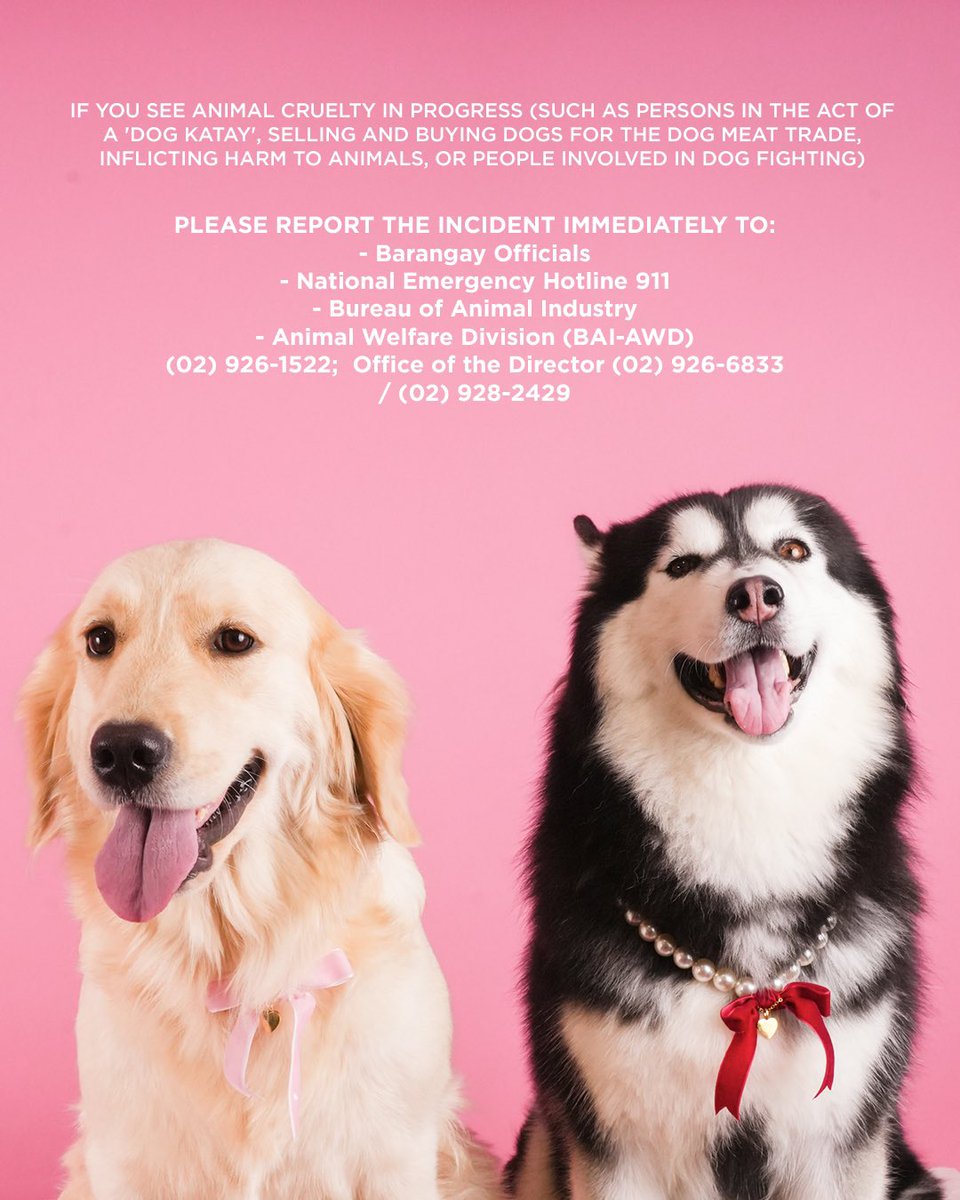 This is a call to unite and use our voices to advocate for stronger laws protecting animals from cruelty and abuse. 

Join the movement, spread awareness, and pave the way for a world where animals are treated with the respect they deserve 🐾

#JusticeForKillua
#NotoAnimalAbuse