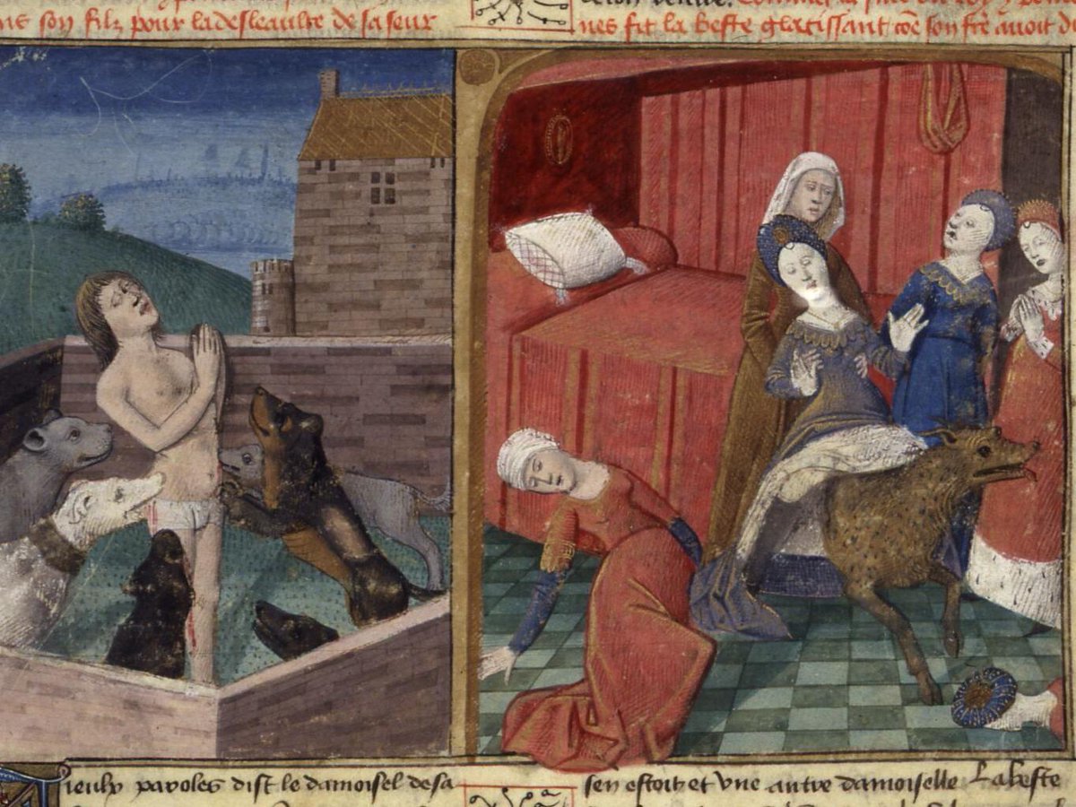 Dr Leticia Ding tweet media