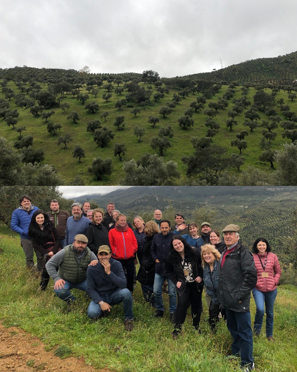 De la mano del equipo de Alltech Crop Science y de los directores de Olipe, los comunicadores de @IFAJ conocieron cómo Alltech apoya a los agricultores a mejorar el rendimiento de sus cultivos, proteger los suelos, y potenciar su impacto social. olipe.com/olipe-alltech/