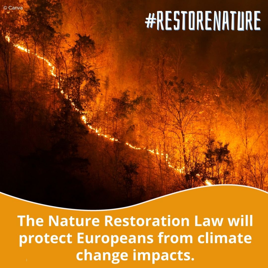 Nature is our best insurance against floods, droughts, wildfires & heatwaves.💧 The #NatureRestorationLaw will strengthen our rivers, forests or marine habitats to protect us from climate change. 🔥 Over 1 million citizens urge @EUCouncil to support the agreement! #RestoreNature