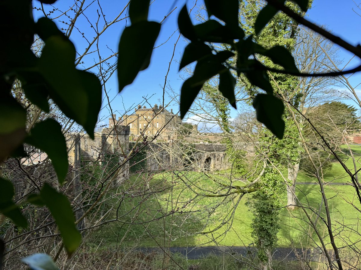 Culzean in March <a href="/N_T_S/">National Trust for Scotland</a> <a href="/Culzeancastle/">Culzean Castle & Country Park 🏰🏴󠁧󠁢󠁳󠁣󠁴󠁿fan</a>