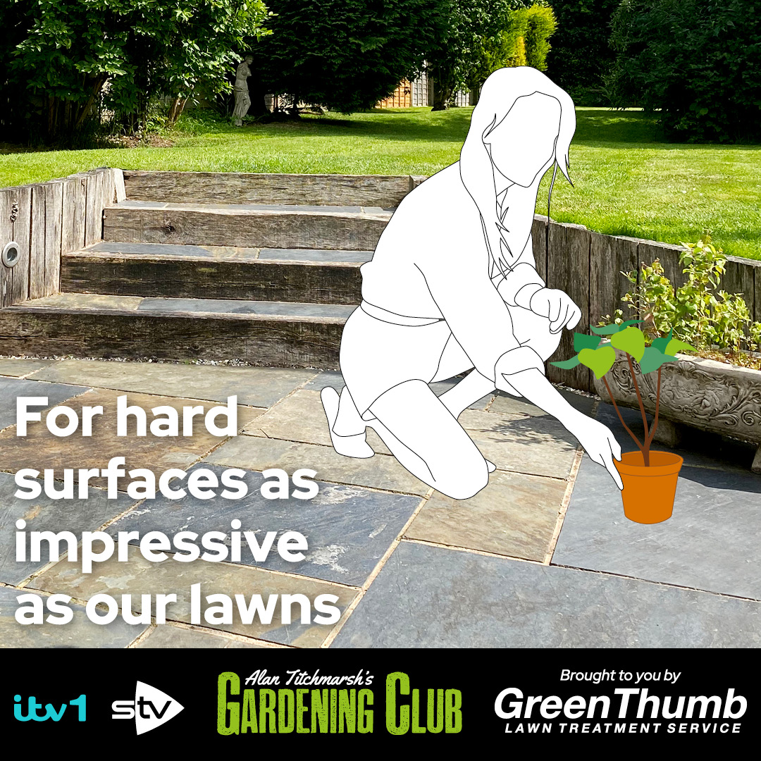 We now offer a highly effective Hard Surface Cleaner, so there's no need for pressure washing or laborious scrubbing.  Enjoy a safe, fresh, and inviting outdoor space with family and friends 💚 Find out more here ➡️ greenthumb.co.uk/pages/hard-sur… #HardSurfaceCleaner #LawnCare