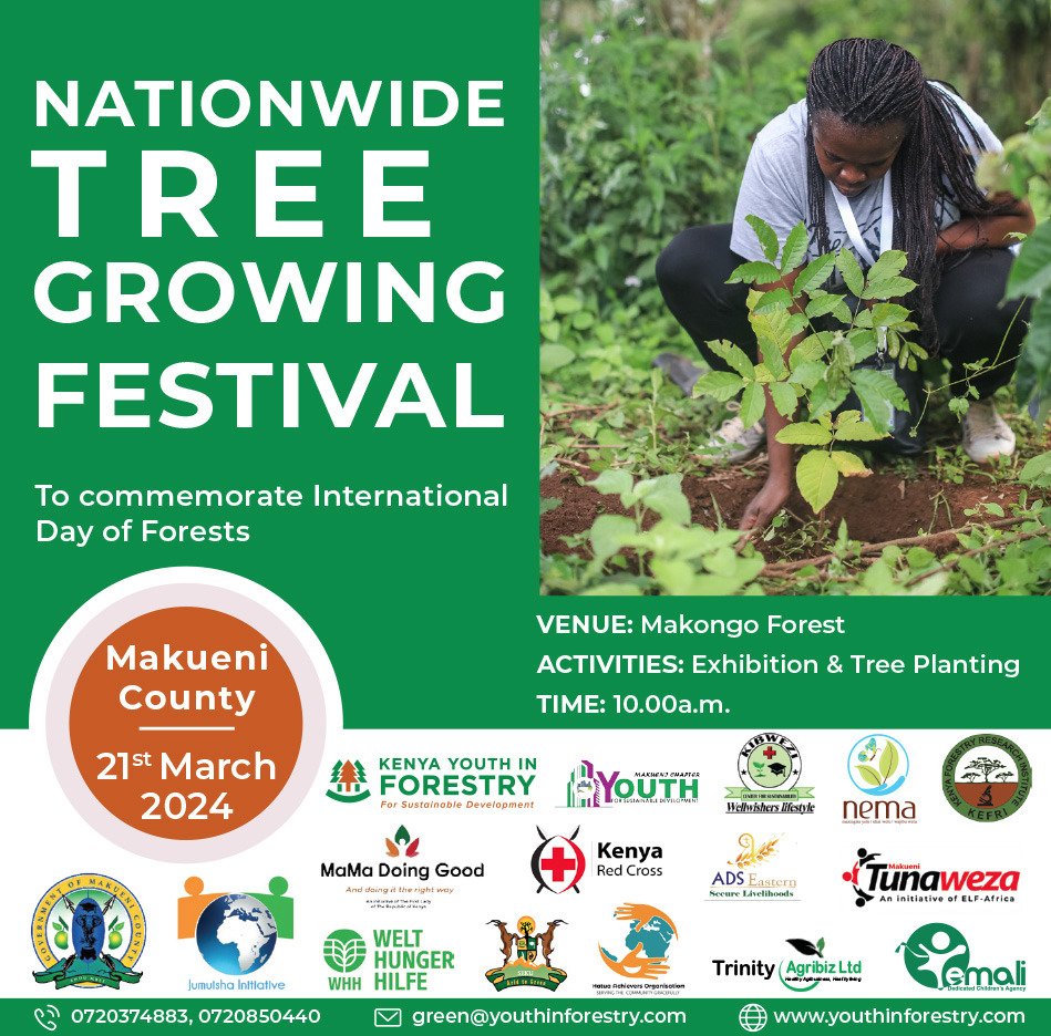 Tree growing festival is here, and in Makueni we will be at Makongo Forest, Kaiti. 
Let's keep the growing going

#GenerationRestoration #TerraFund 
@YouthinForestry
@JumuishaCBO 
@tunawezamakueni
@OfficialMakueni