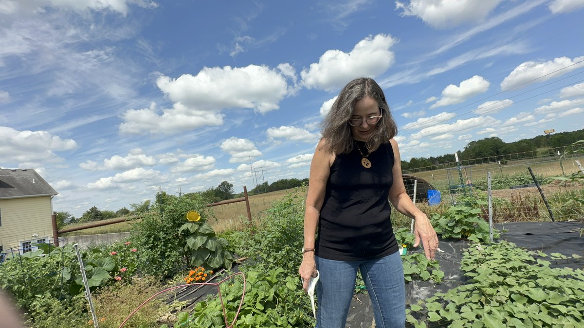 The green stuff out in my yard is making me happy. Spring break is around the corner and I am going to hit the garden and get my hands dirty.