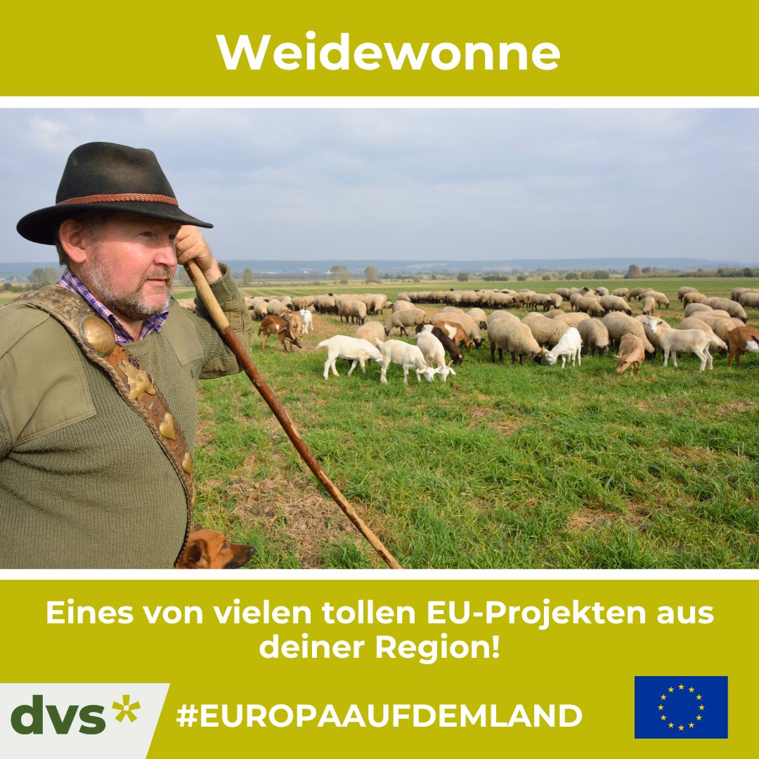 👉 #EuropaAufDemLand 👈
Das fördert die #EU in deiner ländlichen Umgebung

Unser heutiges #Projekt aus #Thüringen verbindet traditionelle landwirtschaftliche Praktiken mit modernen ökologischen Grundsätzen.

Mehr Infos zum Projekt &amp; zur EU-Projekte-Aktion:
dvs-gap-netzwerk.de/europaaufdemla…