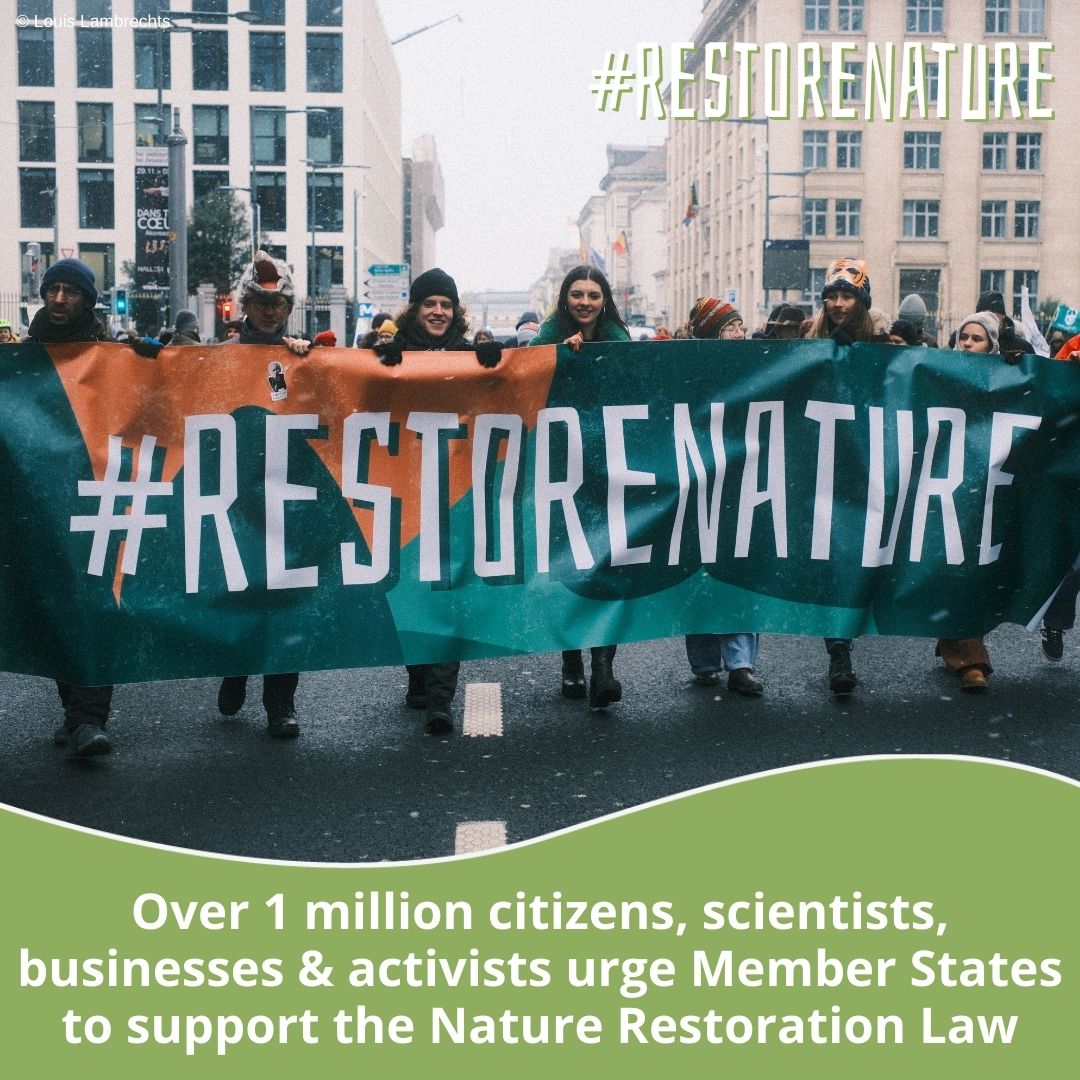 Last year, a key agreement was struck on the #NatureRestorationLaw. 🤝 Over 1 million citizens, scientists, businesses & NGOs urge the Council of the EU to get it to the finish line. On Monday, the @EUCouncil must seal the deal! #RestoreNature 🏞️