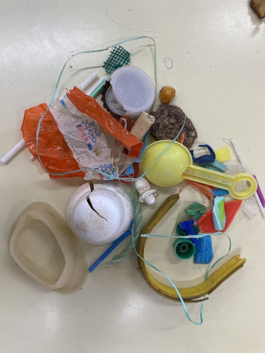 Marta I. Sanchez tweet media