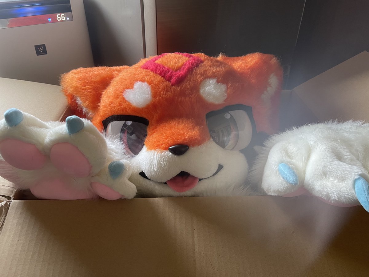 Yupitel_Zero2's tweet photo. RHK工房@Fursuit_RIHAKU さんから本日3月19日遂に太陽の王族にして神様である“光ライジ“が完全体へとお迎え致しました！！！！！

とても元気ではしゃぐ子でみんなに明るく振る舞ってくれるので気軽に接してね！！

てことで闇ライジと共にこれからよろしくお願いします！！
#RHKFamily https://t.co/bPMVDltH8G
