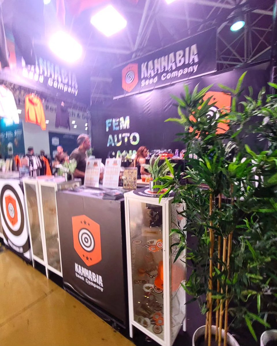 Sophie_MJ's tweet photo. Simplemente mi familia naranja 🧡🏝🌱✨️Os amo.

📸 Recap #kannabista 
•Spannabis 2024•💨
@KannabiaSeeds 🐲🥰 https://t.co/WGV9dUVAUH