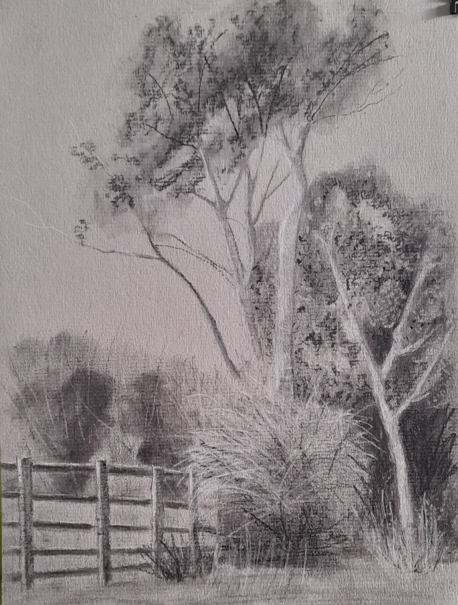 Have a good day everyone. Charcoal sketch. #sketch #Sketching #landscape #charcoal #originalart #tree