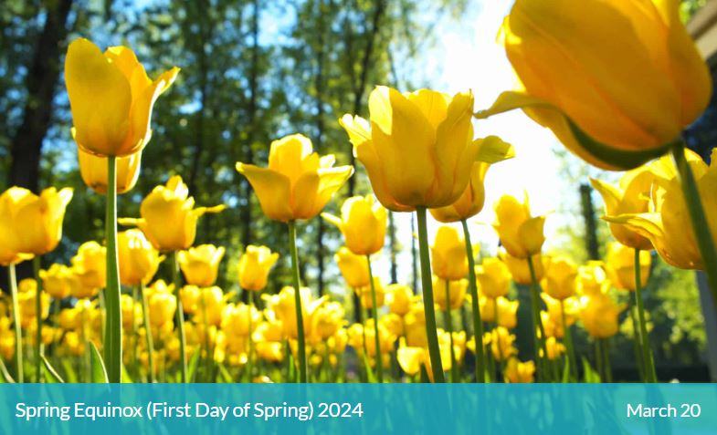 Spring has arrived! The days are getting longer, the evenings are getting lighter! We wish all our @EKHUFT colleagues and followers a Happy Spring Equinox! We certainly have a spring in our step in the All Age Safeguarding Team today! @YanniJulie @AlihodzicSal