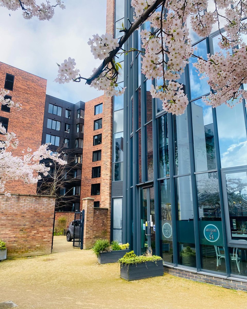 Looking lovely over here in the @baltictriangle 🌺 #54stjamesstreet #conferencing #liverpoolvenue