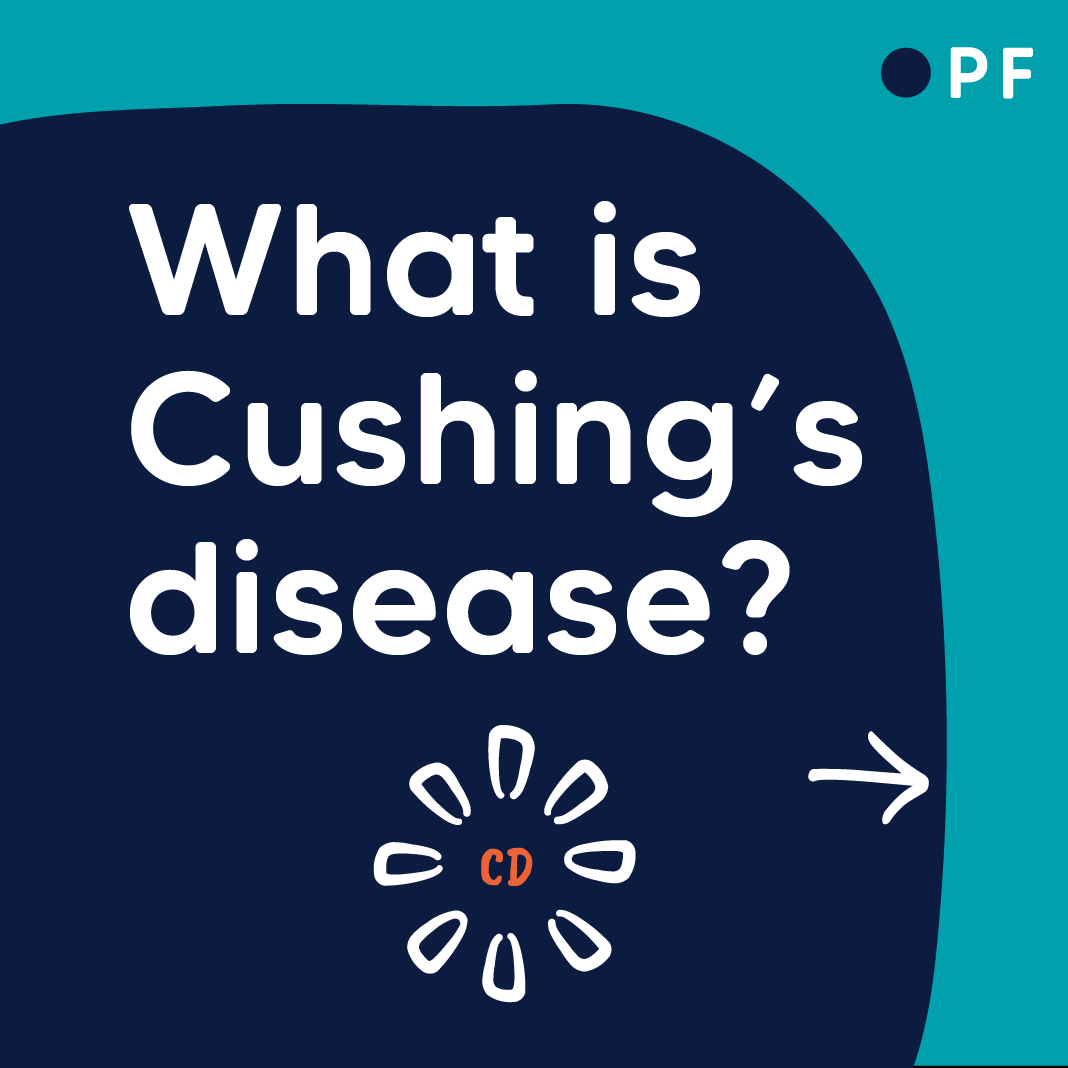 The Pituitary Foundation tweet media