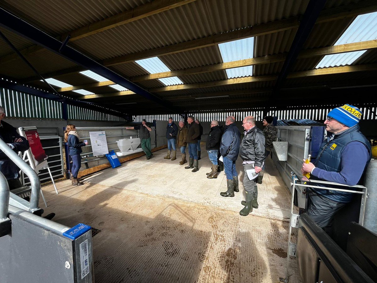 Kite Consulting tweet media