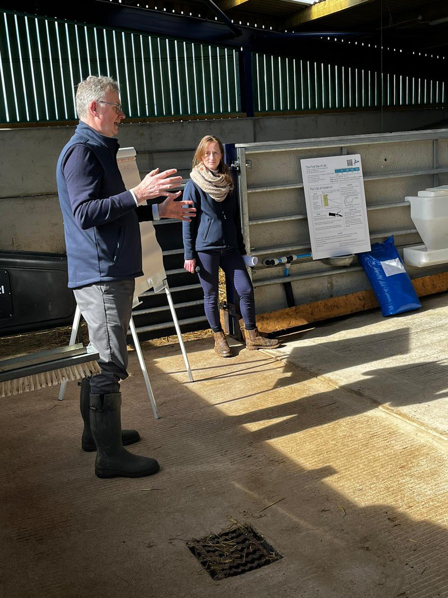 Kite Consulting tweet media