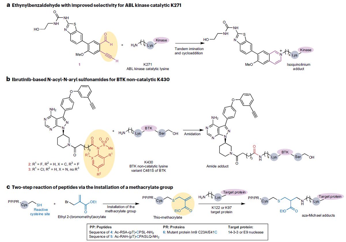 NatRevChem's tweet photo. Tying the knot with lysine

https://t.co/ZHFSZvhr5o

A Year in Review looking at targeted covalent inhibitors in 2023 from @AnaKoperniku and Nicholas Meanwell  

@Stanford @BlumbergInstit1 @UMich https://t.co/qx9BW4mPZE
