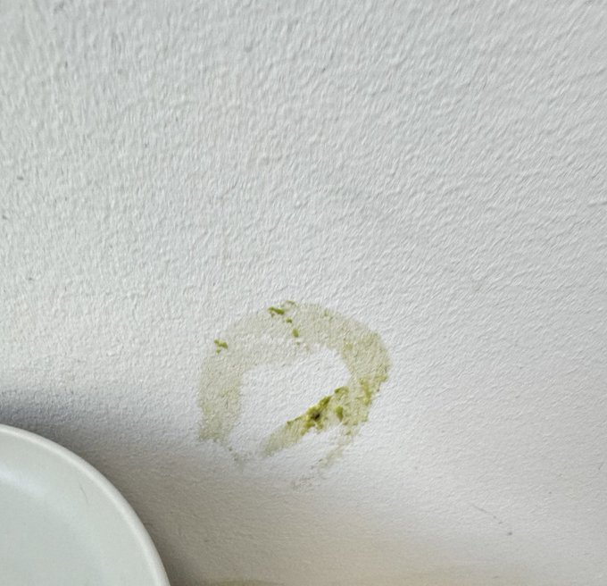 I&rsquo;ve always been the person to wonder how the fuck stains get on walls, and I just did the most insane