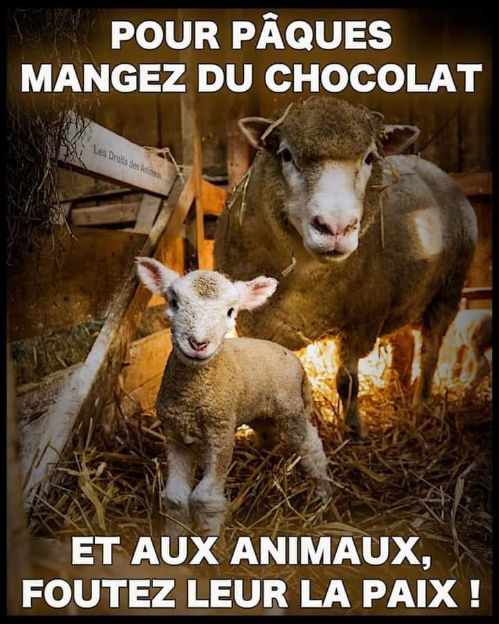 MelodieDumas12's tweet image. #Pâque