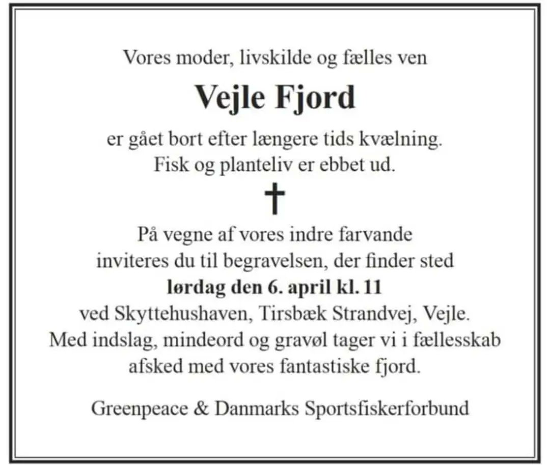 GraarupSofie's tweet photo. Engang var to havørreder fra Vejle Fjord mere værd end en malkeko.

Nu er fjorden død. Degraderet til afvandingskanal for landbruget.

Kommer Havets Minister, @Heunicke, mon til begravelsen og viser den en sidste ære?

#dkhav #dknatur @greenpeacedk @rentvand https://t.co/BnJthQZJKe