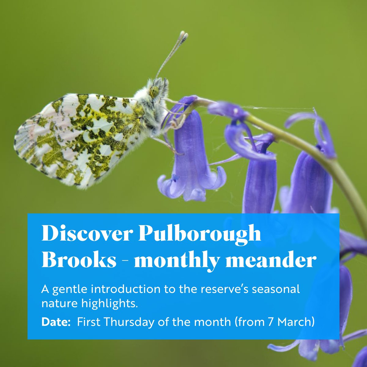 We're looking forward to our April monthly meander next Thursday (4 April) - we'll be enjoying birdsong and other signs of spring. You can book tickets in advance or pay at the welcome hut on the day (walk starts at 10.15am). Find out more: events.rspb.org.uk/events/63465