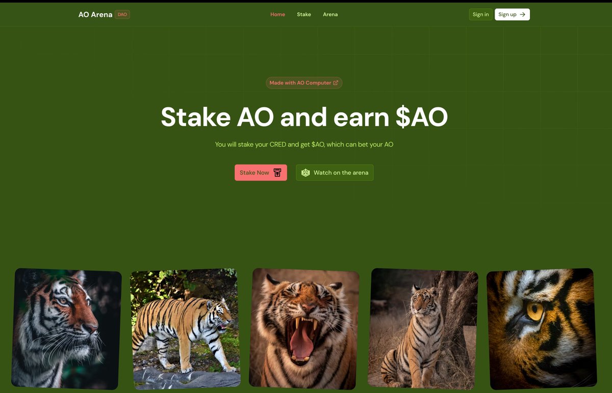 Mind-blowing with the AO!
AO Arena DAO!AO here refers to tiger!
We are making a fun sub-project during the weave hackathon which combine server tasks and tracks.
Any progress, we will add  here
@Weavers_Org 
@aoTheComputer @samecwilliams  @JonnyRingo711 @PSkinnerTech @Rahatcodes