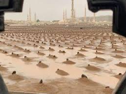 وفيات المدينة المنورة (@wfyat_almdenah) on Twitter photo امطري ياطيبه واسقي قبور المسلمين والمسلمات 
اللهم أمطر على قبور موتانا بالرحمة  
 والعفو والمغفرة يا الْلَّهِ💦`ヽ💦ヽ💦.💦
اللهم  برد تربة كل عزيز رحل عنا, اللهم نور مرقدهم؛ وعطر مشهدهم؛ وطيّب مضجعهم؛ وآنس وحشتهم؛ واعتق رقابنا ورقابهم من النار 💦 امطري ياطيبه واسقي قبور المسلمين والمسلمات 
اللهم أمطر على قبور موتانا بالرحمة  
 والعفو والمغفرة يا الْلَّهِ💦`ヽ💦ヽ💦.💦
اللهم  برد تربة كل عزيز رحل عنا, اللهم نور مرقدهم؛ وعطر مشهدهم؛ وطيّب مضجعهم؛ وآنس وحشتهم؛ واعتق رقابنا ورقابهم من النار 💦