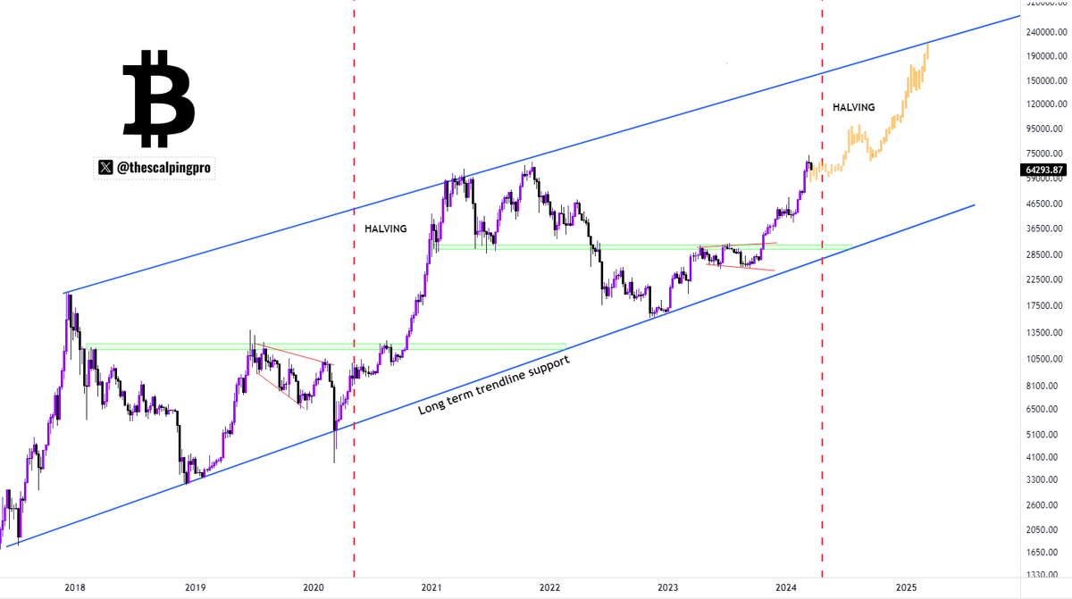 thescalpingpro's tweet photo. #Bitcoin bull market still on track https://t.co/EmgZ7UuiOZ
