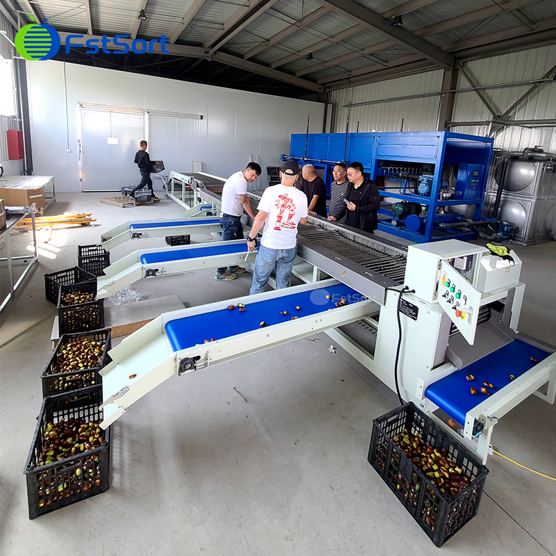 FruitprocessI's tweet photo. 🔥🔥🔥How to solve the problem of different sizes of dates after harvesting?

This video is positive feedback from jujube customer in China after using the sorting machine🤩

🌎
Get price service@fruitprocess.com
Learn more: https://t.co/EwTP2ku54h

#Jujubesorter #datesgrader https://t.co/zpZvkUSJlO