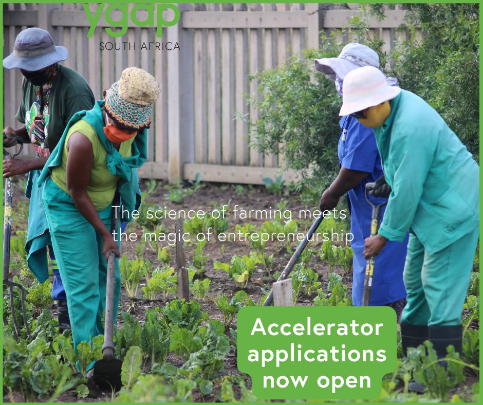 ygap South Africa understands the power of locally led agriculture businesses. Our accelerator program is designed to empower and elevate agripreneurs who are passionate about transforming the agricultural landscape. Find out more at ygap.org/southafrica/ #agripreneurs