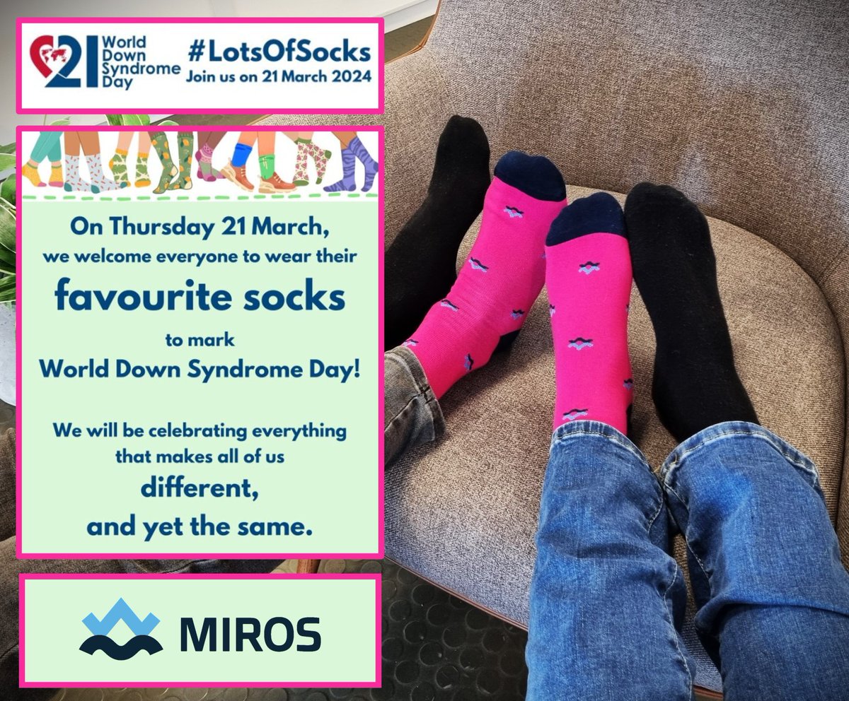 Make a statement with your socks on 21 Mar! We ask all pink Miros sock owners to join raising awareness for @worlddsday by wearing our most eye-catching socks 💗 Learn more at: hubs.ly/Q02pMgwX0 #EndTheStereotypes #WorldDownSyndromeDay #LotsOfSocks #SpreadLove #rockesokk