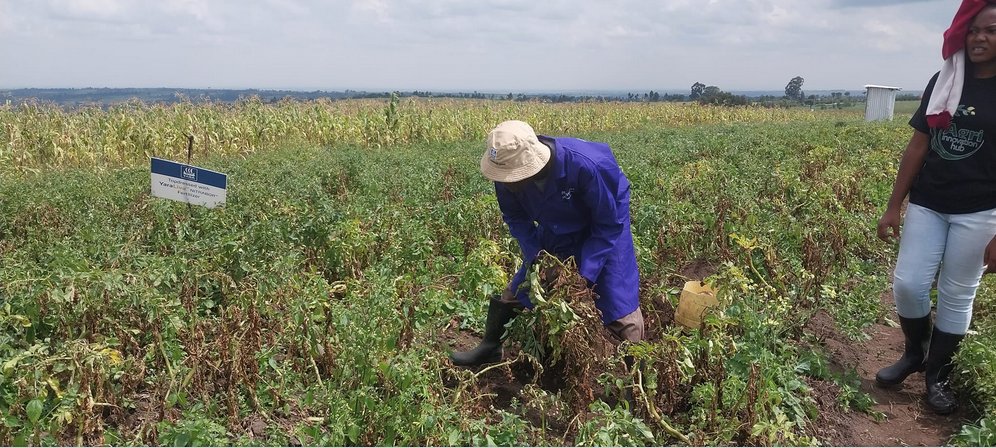 Agri Innovation Hub tweet media