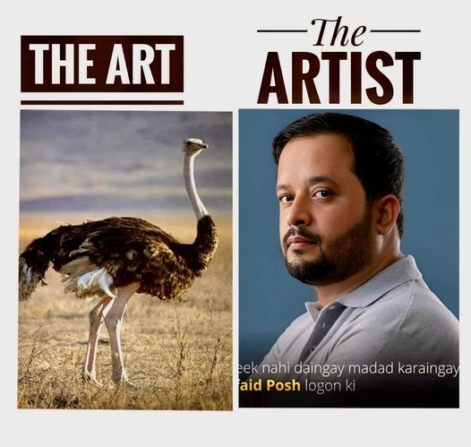 mnaeem05's tweet photo. #JDC #zaffarabbas #ostrich #shutarmurgh #شترمرگ #Karachi #Pakistan #foryou https://t.co/qAoxqiLuOp