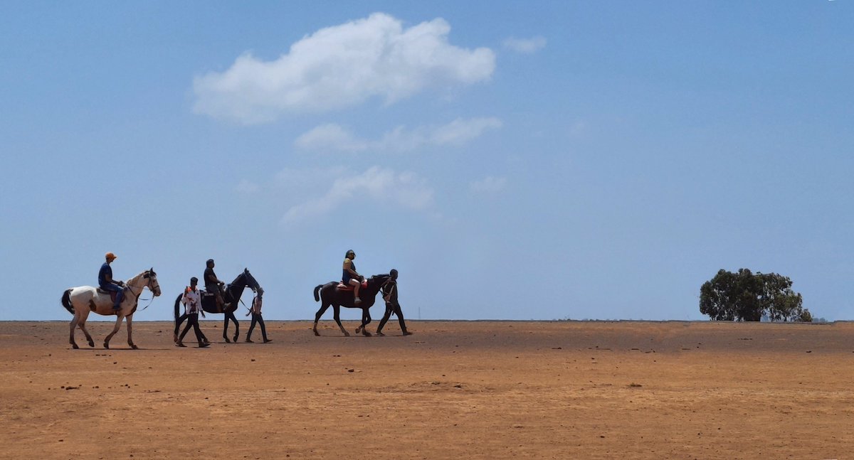 atulMbhatnagar's tweet photo. .@IndiAves
#Mahabaleshwar #Panchgani #Tableland
A repost from 2022
HORSES ON THE HORIZON https://t.co/nvUN1lkjIO